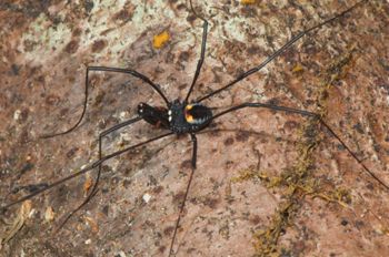 Media type: image;   Invertebrate Zoology 129583